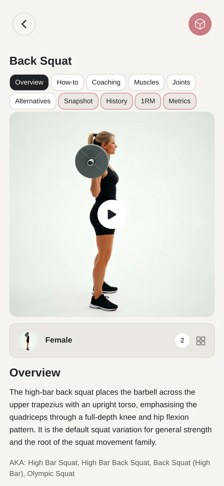 Goblet squat reference showing movement guidance tabs